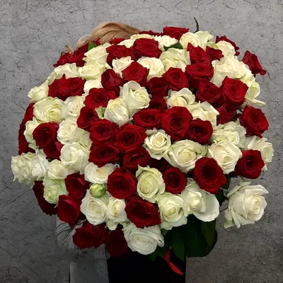 Купить Букет из 101 розы (50 см) в Краснодаре