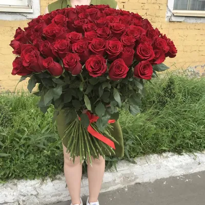 101 красная роза в букете - 70 см. за 23 590 руб. | Бесплатная доставка  цветов по Москве