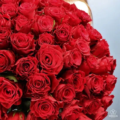 Корзина из 101 розы \"Love\" - купить с доставкой в Минске