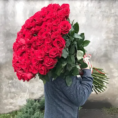 Roza_shop.tj - 📢Супер акция📢 🌹101 роза всего за 299 сомон... | Facebook