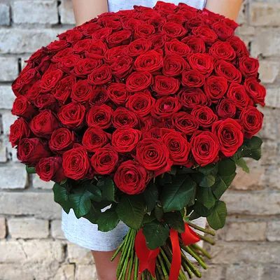 101 роза: купить букет 101 роза в Москве - цена от 8585 ₽. Интернет-магазин  Premium-Flowers