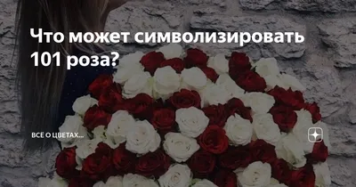 Букет роз Black Classic 101