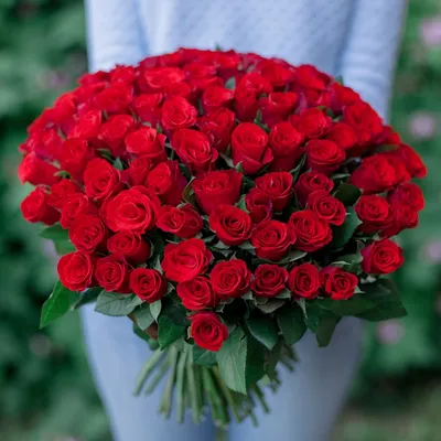 FlowerHouse - 101 красная роза - мечта любой девушки❤️ 51... | Facebook