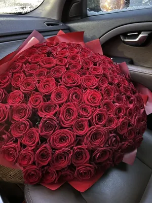 101 красная роза | доставка по Москве и области