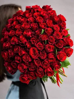 101 метровая роза в Экибастузе заказать с доставкой 🌷