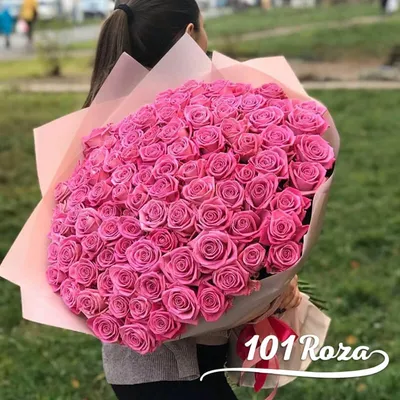 101 роза высокая 110/120 см №391 - 🌹 Цветы Новосибирск: