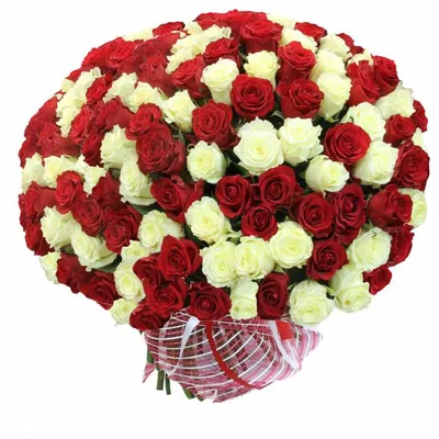 Корзина из 101 розы \"Love\" - купить с доставкой в Минске