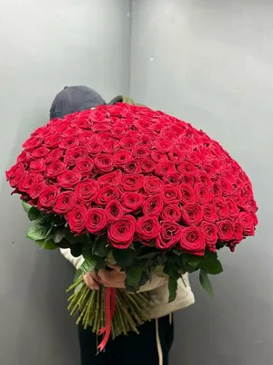 101 нежно розовая роза премиум - 32266 букетов в Москве! Цены от 707 руб.  Зеленая Лиса , доставка за 45 минут!