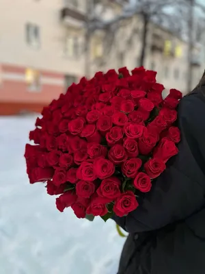 101 роза Астана. Купить букет с доставкой по низкой цене для девушки.
