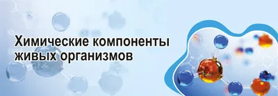 О завершении 2022/2023 учебного года и проведении итоговой аттестации  учащихся 11 классов