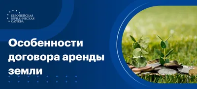 Торт на 1 год и 11 месяцев, Кондитерские и пекарни в Москве, купить по цене  1400 RUB, Бенто-торты в Кондитерская Овсянка с доставкой | Flowwow