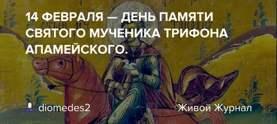 Грешно ли работать 14 февраля в день святого Трифона? Почему нужно избегать  бань и веников. Строгие запреты дня и важные традиции. Молитва святому о  помощи в поисках работы