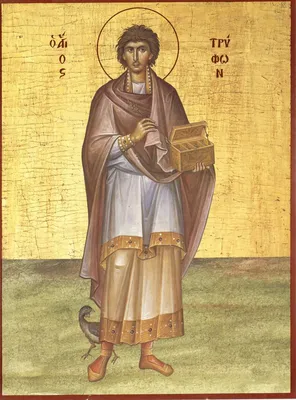 День памяти святого мученика Трифона - Праздник