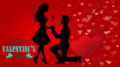 14 февраля: День святого Валентина, 14 лет сервису YouTube, Международный  день дарения книг, День компьютерщика и другие события / Eжедневник 2019 /  2019 / Журнал Calend.ru
