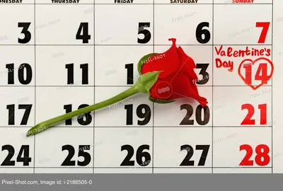 Календарь с датой 14 февраля и розовым цветком. День Святого Валентина  концепция :: Стоковая фотография :: Pixel-Shot Studio