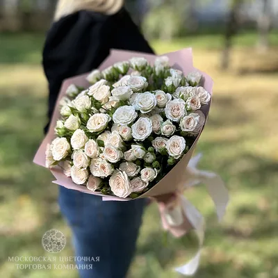 15 кустовых роз Бала | купить недорого | доставка по Москве и области |  Roza4u.ru