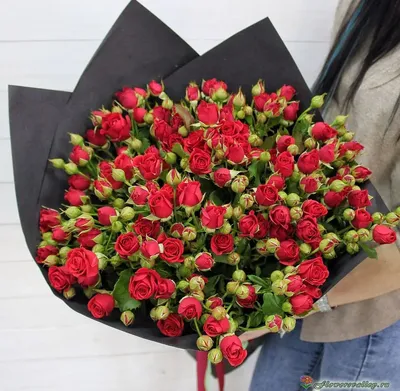 Букет из 15 кустовых роз \"Мадам Бомбастик\" купить в Курске | заказать живые  цветы с доставкой на дом или самовывоз