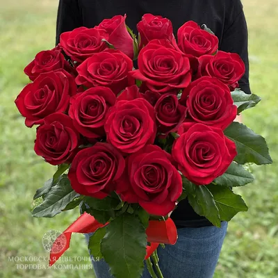 Букет из 17 красных роз купить за 3690 руб. с круглосуточной доставкой |  Мосцветторгком