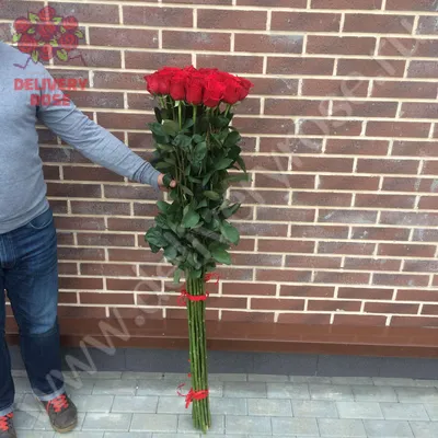 1️⃣ Букет из 17 роз – заказать с доставкой в Алматы от PRO-BUKET!