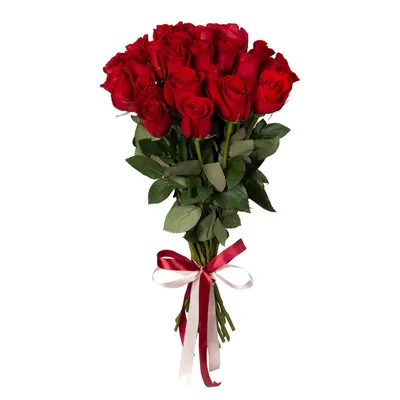 Букет из 17 красных роз в крафте купить в Краснодаре с доставкой