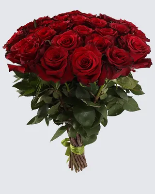Букет 17 роз Космик купить за 3870 руб. с круглосуточной доставкой |  Мосцветторгком