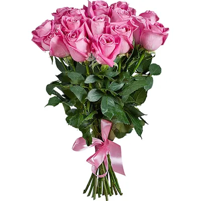 Купить букет из 17 красных роз 70 см по доступной цене с доставкой в Москве  и области в интернет-магазине Город Букетов