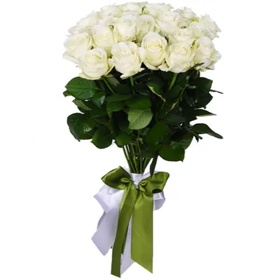 17 крупных белых роз Махе | купить недорого | доставка по Москве и области
