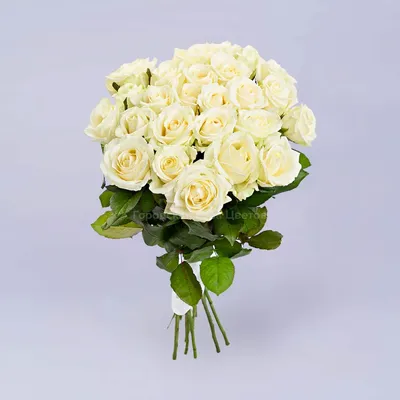 Белые, 17 белых роз, низкие цены, большой выбор цветов с доставкой по  Москве и Московской области