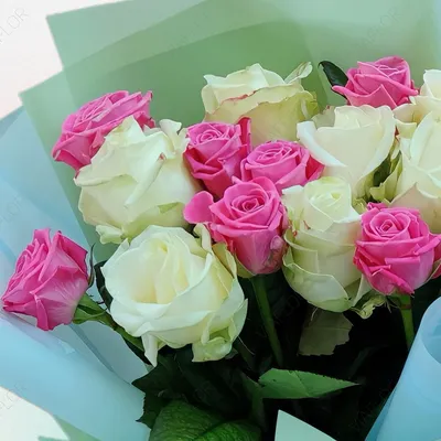 Букет 17 роз Ред Париж купить за 4 490 руб. с бесплатной доставкой по  Москве в интернет-магазине zhflowers.ru
