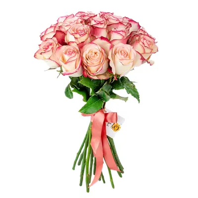 Купить букет 17 роз розово-белых | VIAFLOR