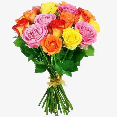 Купить Букет из 17 роз шангрила с доставкой по Томску: цена, фото, отзывы.