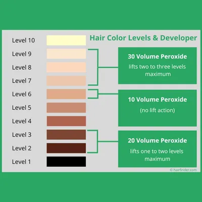 Hair Color Levels | Peroxide Developer | Lighteners