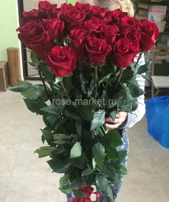 Купить 21 премиум роза микс 50 см (Эквадор) в Москве недорого с доставкой