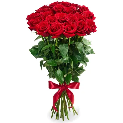 ᐉ Купить Букет из 21 красной розы (местные) в Алматы по выгодной цене |  Bestflowers.kz