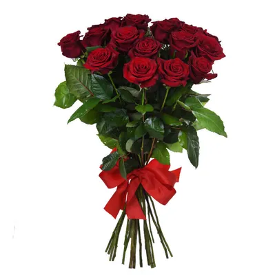 Букет из 21 красной розы Эквадор 70 см - купить в Москве по цене 7490 р -  Magic Flower