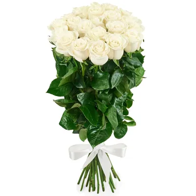 Букет из 21 розы микс 40 см №565 и скидки в интернет магазине цветов Роз  Новоросс
