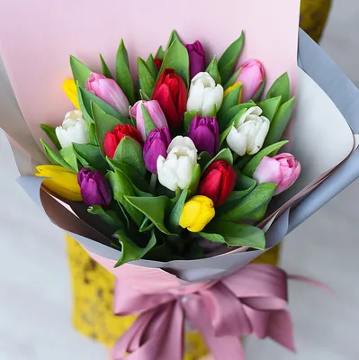 21 Тюльпан \"Микс\" и скидки в интернет магазине цветов Роз Новоросс