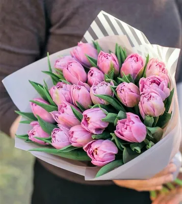 Купить букет из 21 бело-розового тюльпана в упаковке по доступной цене с  доставкой в Москве и области в интернет-магазине Город Букетов
