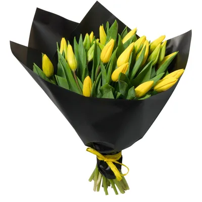 Букет из 21 желтых тюльпанов от /шт. Купить цветы.
