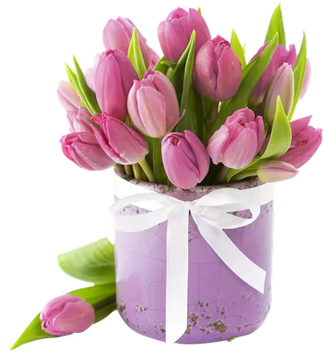 Букет «21 фиолетовый тюльпан с гипсофилой», артикул: 333009615, с доставкой  в город Москва (внутри МКАД)
