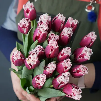 21 белый и розовый тюльпан за 2640 ₽ с доставкой по Москве