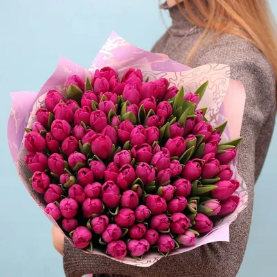 21 Тюльпан \"Сан Стефано\" (Фиолетово-белый Бахрома) и скидки в интернет  магазине цветов Роз Новоросс