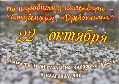 Международный день защиты мужской нервной системы от насильственных  действий со стороны женщины: история праздника 22 октября | Весь Искитим |  Дзен