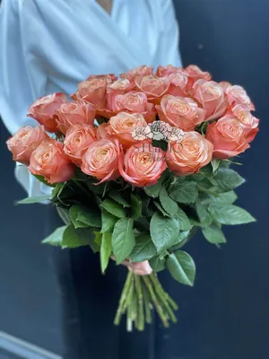 Розы красные и розовые недорого: 23 цветка по цене 5225 ₽ - купить в  RoseMarkt с доставкой по Санкт-Петербургу