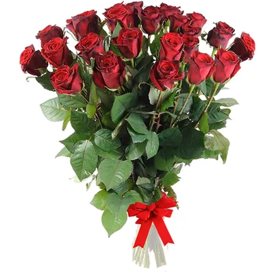 ᐉ Букет из 23 роз. Белые и розовые розы в стильном оформлении купить в  Алматы, отличная цена 23325.00 тенге | Интернет-магазин «Cvetok24»