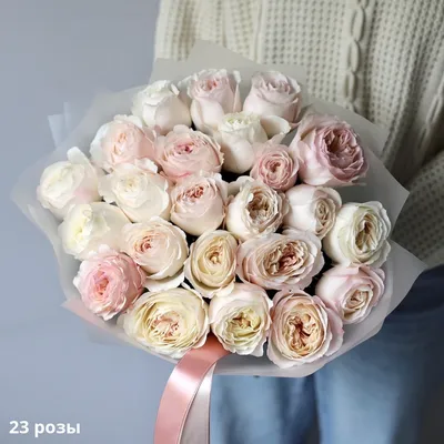 Букет 23 розы 70 см №14 и скидки в интернет магазине цветов Роз Новоросс