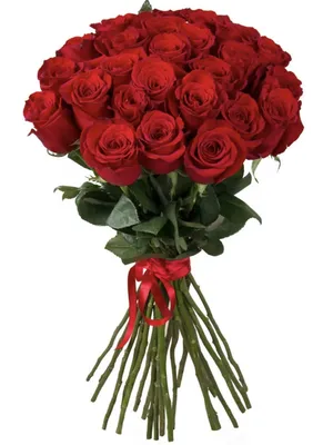 Букет цветов 23 розы Фруттето с лимониумом 💐 заказать в Москве с доставкой  по цене 10 490 ₽ | Флористическое кафе VioletFlowers 🌷