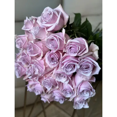 Букет из пионовидных роз Дэвида Остина Кейра - заказать доставку цветов в  Москве от Leto Flowers