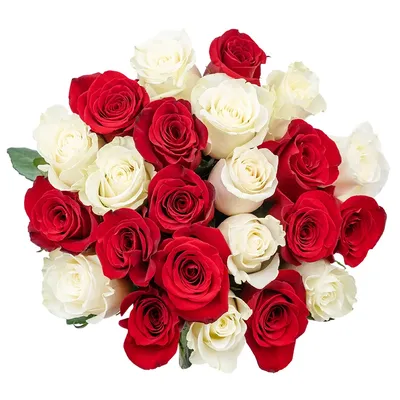 Купить букет из 23 красных роз 70 см по доступной цене с доставкой в Москве  и области в интернет-магазине Город Букетов