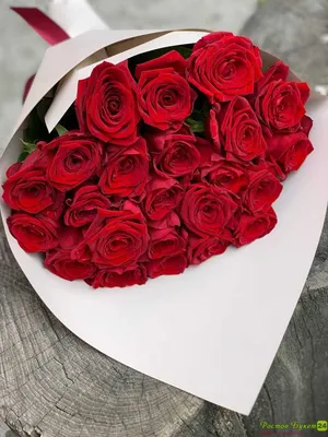 Заказать Букет 23 бордовых роз в оформлении в городе Югорск